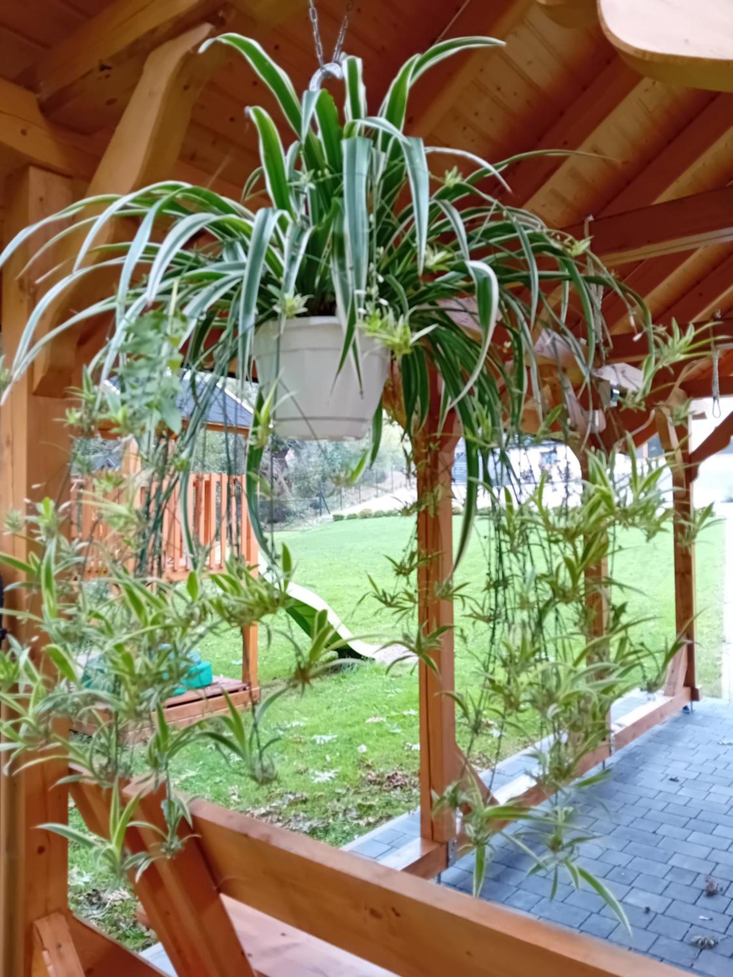 Apartamenty Nad Rzeka Kacwin Bagian luar foto